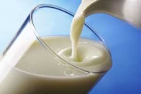 Сертификация продуктов молочного производства