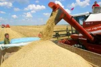 Cертификация в таможенном союзе и РФ на примере зерна